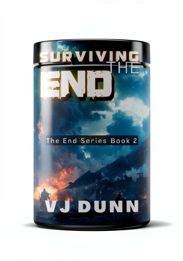 The End Book 2 Kindle eBook by HEA Publishers Spiritual Fiction-0