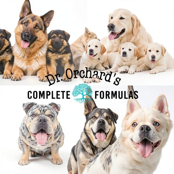 Breeder's Box Dog Semen Shipping for Breeders, Disposable Semen Transport, Canine Semen Shipping Box, Cools up to 48 Hours, Disposable Semen Transport-4